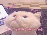 厦门谷之云科技有限公司