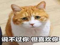 厦门谷之云科技有限公司