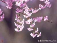 厦门谷之云科技有限公司