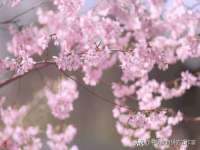 厦门谷之云科技有限公司