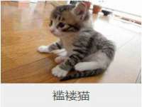 厦门谷之云科技有限公司