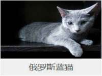 厦门谷之云科技有限公司