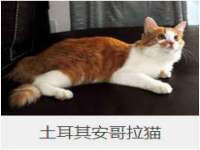 厦门谷之云科技有限公司