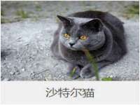 厦门谷之云科技有限公司