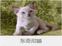 厦门谷之云科技有限公司