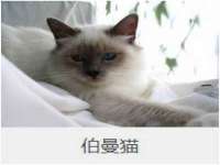 厦门谷之云科技有限公司