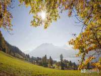 厦门谷之云科技有限公司