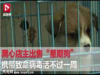 厦门谷之云科技有限公司