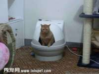 厦门谷之云科技有限公司