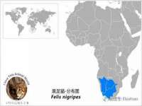 厦门谷之云科技有限公司