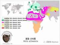 厦门谷之云科技有限公司