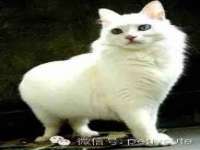 厦门谷之云科技有限公司