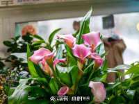 厦门谷之云科技有限公司