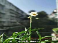 厦门谷之云科技有限公司