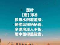 厦门谷之云科技有限公司
