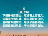 厦门谷之云科技有限公司