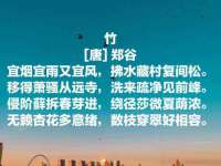 厦门谷之云科技有限公司
