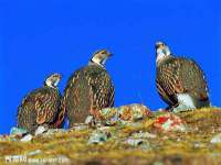 厦门谷之云科技有限公司