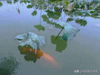 厦门谷之云科技有限公司