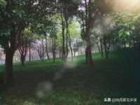 厦门谷之云科技有限公司