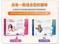 厦门谷之云科技有限公司