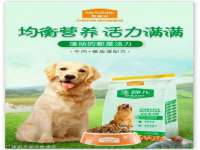 厦门谷之云科技有限公司