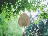 厦门谷之云科技有限公司