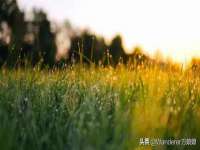 厦门谷之云科技有限公司