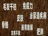 厦门谷之云科技有限公司