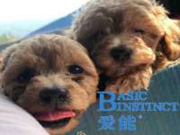 厦门谷之云科技有限公司