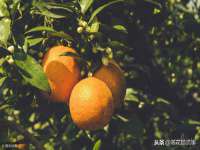 厦门谷之云科技有限公司