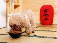 厦门谷之云科技有限公司