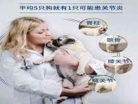 厦门谷之云科技有限公司