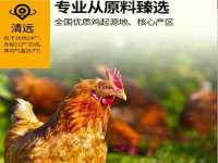 厦门谷之云科技有限公司