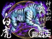 厦门谷之云科技有限公司