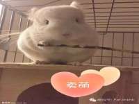 厦门谷之云科技有限公司