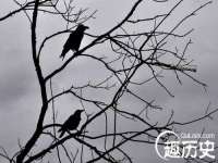 厦门谷之云科技有限公司