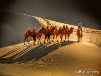 厦门谷之云科技有限公司