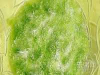 厦门谷之云科技有限公司