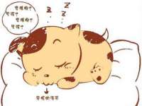 厦门谷之云科技有限公司