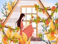 厦门谷之云科技有限公司