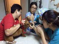厦门谷之云科技有限公司