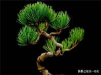 厦门谷之云科技有限公司