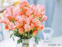 厦门谷之云科技有限公司